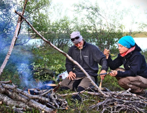 Survival skills