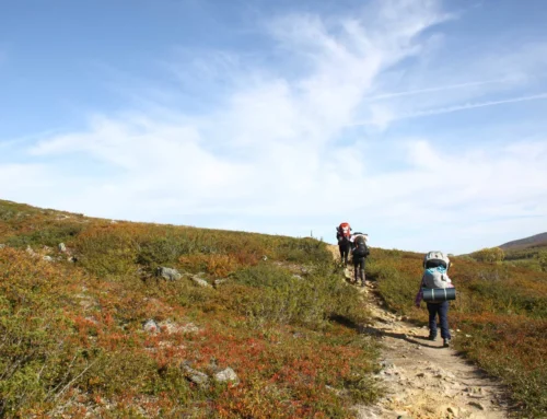 Hiking – basic course