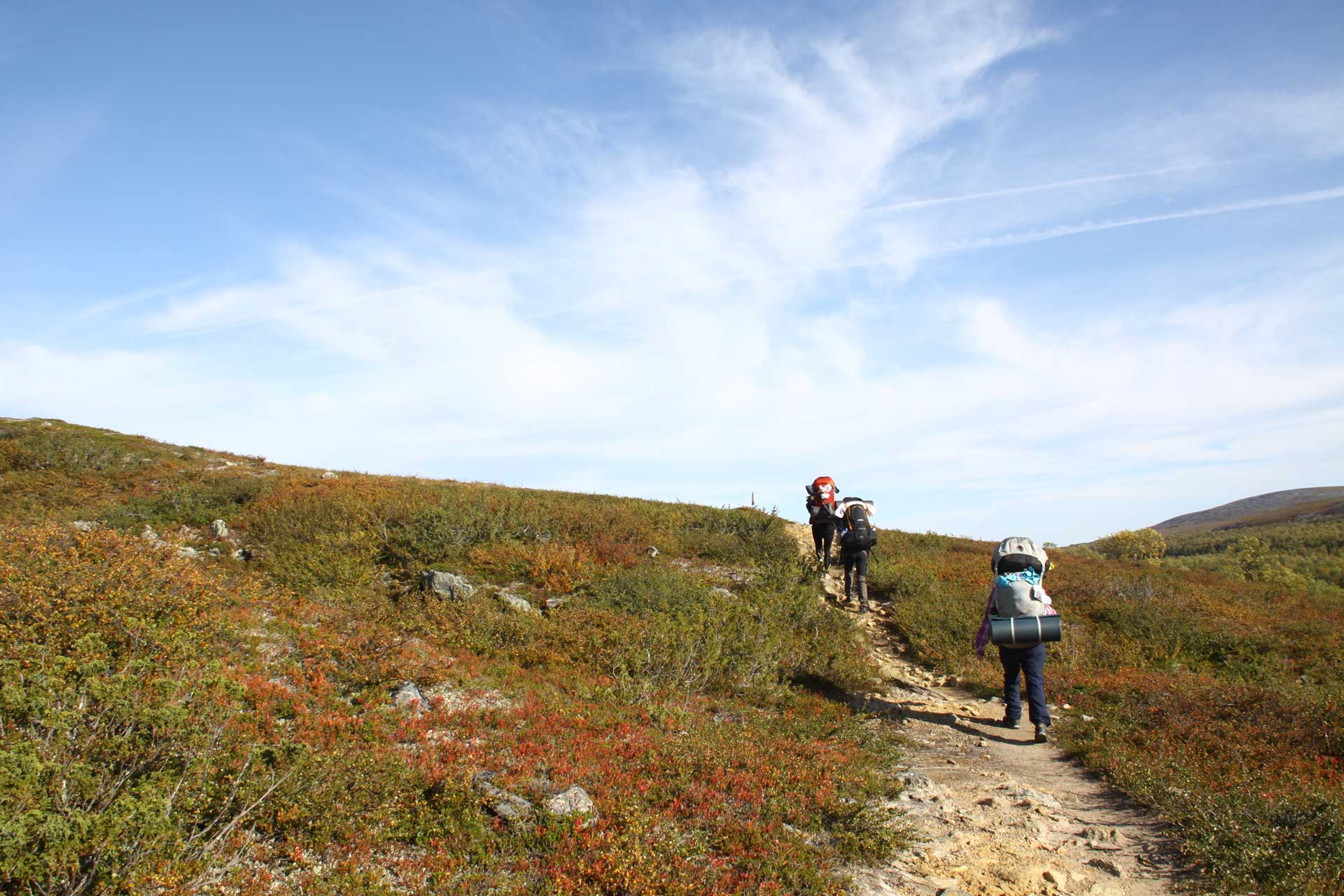 Hiking basic course - Lapland | Polku Nature Tours