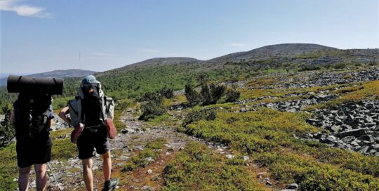 Guided hike Pyhä-Luosto natinal park